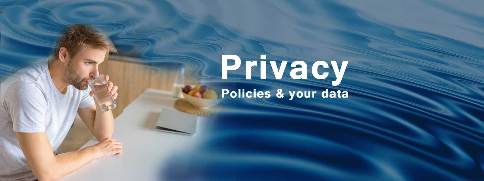 Privacy Policy Header